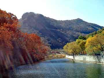 澳门二四六天天彩图库，幻界至尊